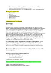 Romėnų privatinė Teisė. Konspektas 4 puslapis