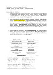 Romėnų privatinė Teisė. Konspektas 5 puslapis