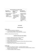 Romėnų privatinė Teisė. Konspektas 6 puslapis