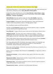 Romėnų privatinė Teisė. Konspektas 9 puslapis