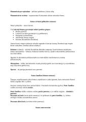 Romėnų privatinė Teisė. Konspektas 10 puslapis