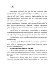 Vadybos ciklas: funkcijos, jų sąveika ir įgyvendinimas 2 puslapis