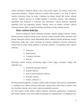 Vadybos ciklas: funkcijos, jų sąveika ir įgyvendinimas 3 puslapis