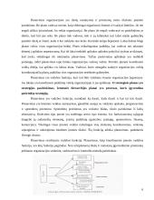 Vadybos ciklas: funkcijos, jų sąveika ir įgyvendinimas 6 puslapis