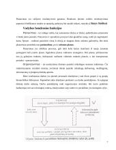 Vadybos ciklas: funkcijos, jų sąveika ir įgyvendinimas 7 puslapis