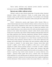Vadybos ciklas: funkcijos, jų sąveika ir įgyvendinimas 9 puslapis