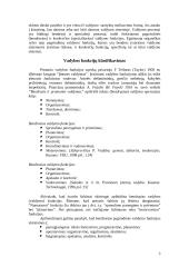 Vadybos funkcijos 3 puslapis