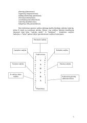 Vadybos funkcijos 5 puslapis