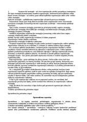 Vadybos funkcijų tema 11 puslapis