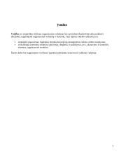 Valdymo procesas, vadovų tipai, organizacijos struktūra ir žinių vadyba 3 puslapis