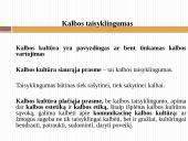 Dalykinė kalba 2 puslapis