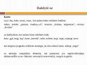 Dalykinė kalba 11 puslapis