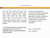 Dalykinė kalba 13 puslapis