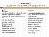 Dalykinė kalba 15 puslapis