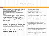 Dalykinė kalba 19 puslapis