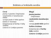 Dalykinė kalba 20 puslapis