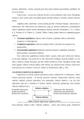 Vadybos funkcijos ir informacija 13 puslapis