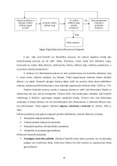 Vadybos funkcijos ir informacija 16 puslapis