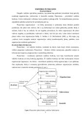 Vadybos funkcijos ir informacija 5 puslapis
