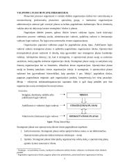 Vadybos funkcijos ir informacija 7 puslapis