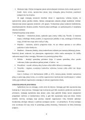 Vadybos funkcijos ir informacija 8 puslapis