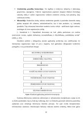 Vadybos funkcijos ir informacija 10 puslapis