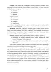 Vadybos funkcijos. Vadovavimas 13 puslapis