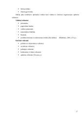 Vadybos funkcijos. Vadovavimas 17 puslapis