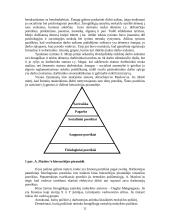 Naujas vadovavimas, vaidmenys ir kompetencijos 11 puslapis