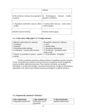 Naujas vadovavimas, vaidmenys ir kompetencijos 13 puslapis