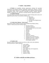 Naujas vadovavimas, vaidmenys ir kompetencijos 4 puslapis