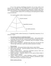 Naujas vadovavimas, vaidmenys ir kompetencijos 9 puslapis
