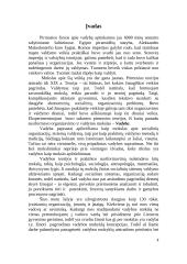 Vadybos mokyklų teorijos ir raida 2 puslapis