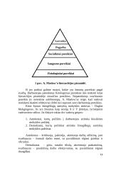 Vadybos mokyklų teorijos ir raida 11 puslapis