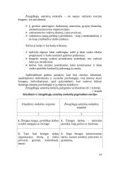 Vadybos mokyklų teorijos ir raida 12 puslapis