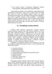 Vadybos mokyklų teorijos ir raida 9 puslapis