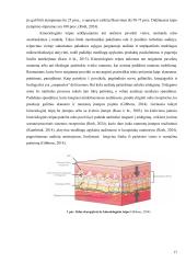Kineziologinio teipo pritaikymas veido senėjimo prevencijai 16 puslapis