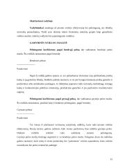 Vadybos mokslo mokykla 13 puslapis