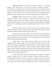 Vadybos mokslo mokykla 3 puslapis