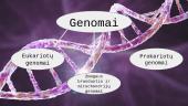 Genomai 3 puslapis
