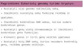 Genomai 8 puslapis
