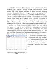 Vadybos mokslo pradininkas: Henry Laurence Gantt 12 puslapis