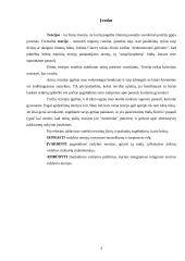 Vadybos teorijų raida ir vystymasis 3 puslapis