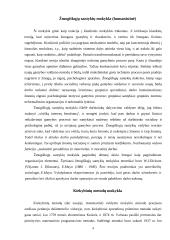 Vadybos teorijų raida ir vystymasis 4 puslapis