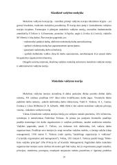 Vadybos teorijų raida ir vystymasis 10 puslapis