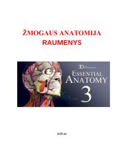 Žmogaus anatomija. Raumenys