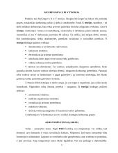 Vadovas ir jo profesinis ugdymas 5 puslapis