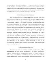 Vadovas ir jo profesinis ugdymas 6 puslapis