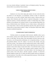 Vadovas ir jo profesinis ugdymas 7 puslapis