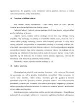 Vadovas ir lyderis: panašumai ir skirtumai 13 puslapis